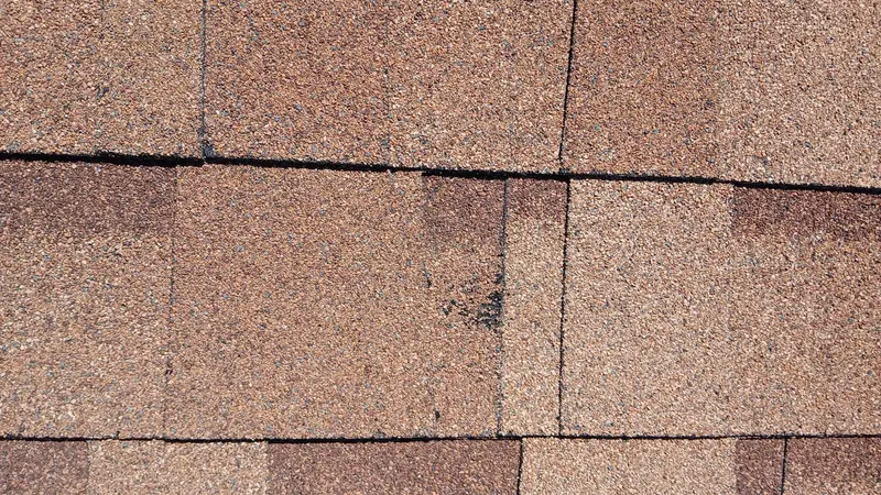 Close-up of hail impact bruising on an asphalt shingle in Central Texas
