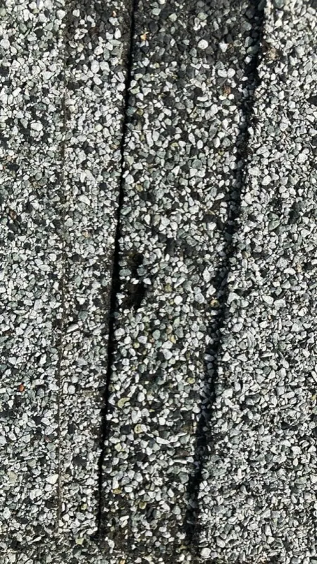 Close-up of hail damage on asphalt shingles in Havre, MT