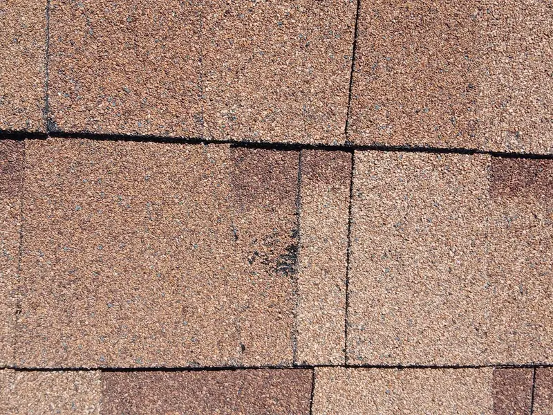 Close-up of hail impact bruising on an asphalt shingle in Central Texas